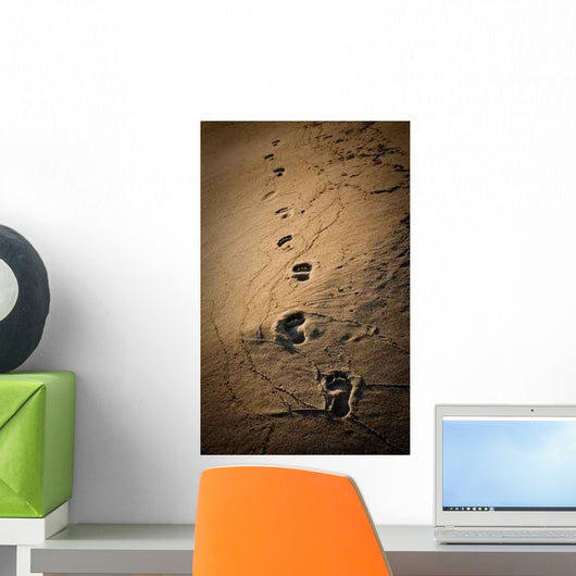 Footprints Wall Decal