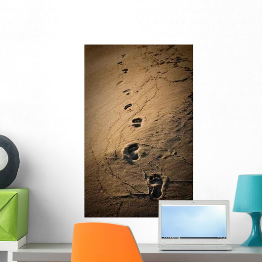 Footprints Wall Decal