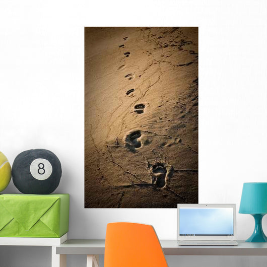 Footprints Wall Decal