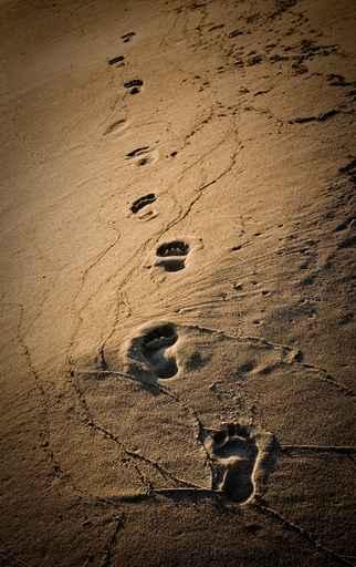 Footprints Wall Decal
