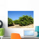 Lemon Trees Wall Decal