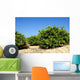 Lemon Trees Wall Decal