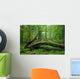 Deciduous Stand Bialowieza Forest Wall Decal