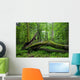 Deciduous Stand Bialowieza Forest Wall Decal