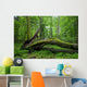 Deciduous Stand Bialowieza Forest Wall Decal