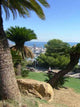 Panorama Park Montjuic Wall Decal