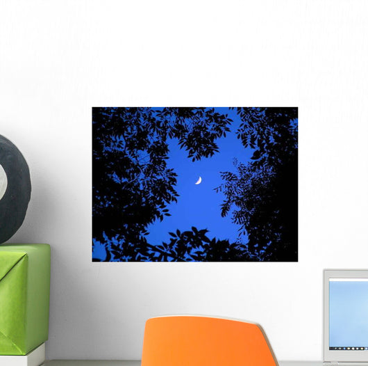 Crescent Moon Look up Wall Decal