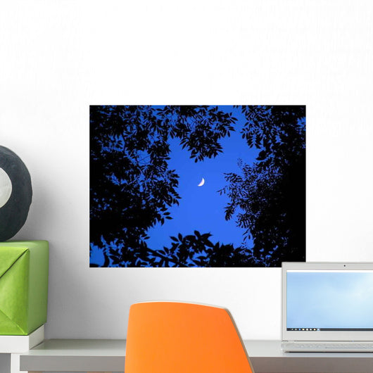 Crescent Moon Look up Wall Decal