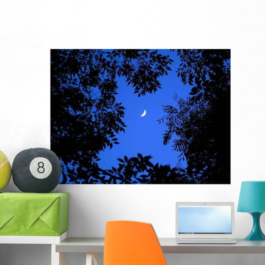 Crescent Moon Look up Wall Decal