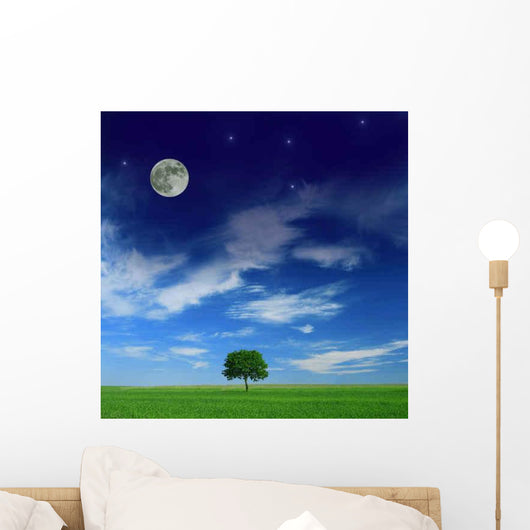 Harmony between Day and Wall Decal