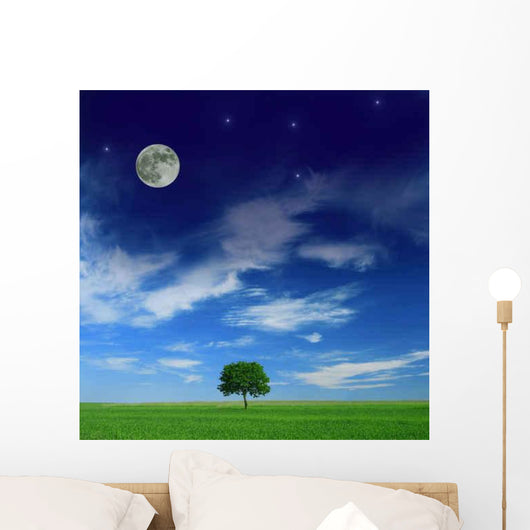 Harmony between Day and Wall Decal