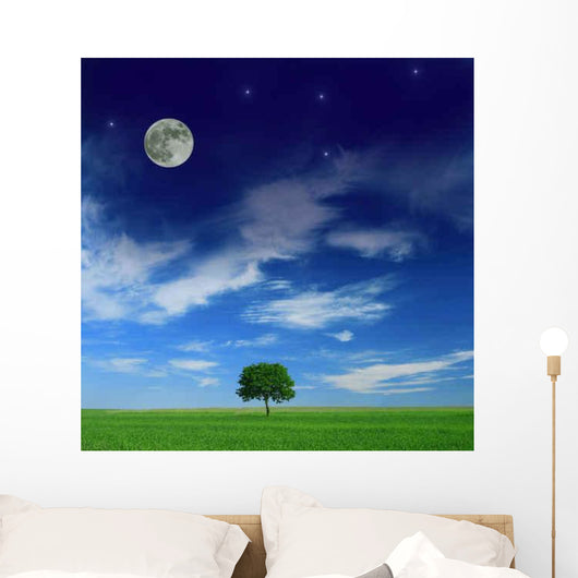 Harmony between Day and Wall Decal