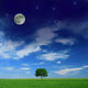 Harmony between Day and Wall Decal
