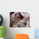 Hawk Owl Wall Decal