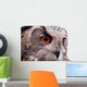 Hawk Owl Wall Decal