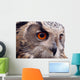 Hawk Owl Wall Decal