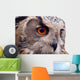 Hawk Owl Wall Decal