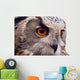 Hawk Owl Wall Decal