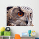 Hawk Owl Wall Decal