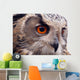 Hawk Owl Wall Decal