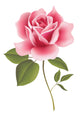Flower Rose Wall Decal