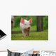 Piglet Piggy Lucky Pig Wall Decal