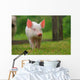 Piglet Piggy Lucky Pig Wall Decal