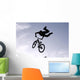 BMX Bike Wall Decal