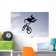 BMX Bike Wall Decal