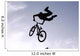 BMX Bike Wall Decal