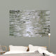 Birch Wood Texture Wall Mural