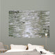 Birch Wood Texture Wall Mural