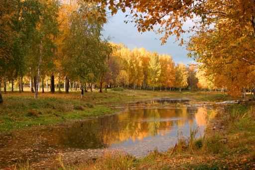 Russian Forest Wall Decal Design 1