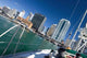 Auckland City Sails Wall Decal