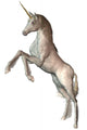 Einhorn Wall Decal