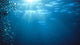 Underwater Sunlight Wall Decal