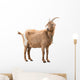Adult Red Goat Wall Decal