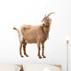 Adult Red Goat Wall Decal