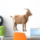 Standing Adult Red Goat Wall Decal