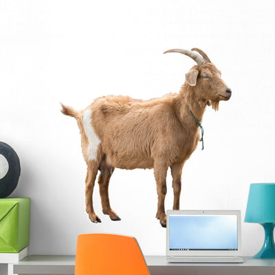 Standing Adult Red Goat Wall Decal shown on a wall