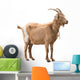 Standing Adult Red Goat Wall Decal