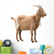 Standing Adult Red Goat Wall Decal