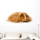Long Haired Guinea Pig Wall Decal