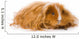 Long Haired Guinea Pig Wall Decal