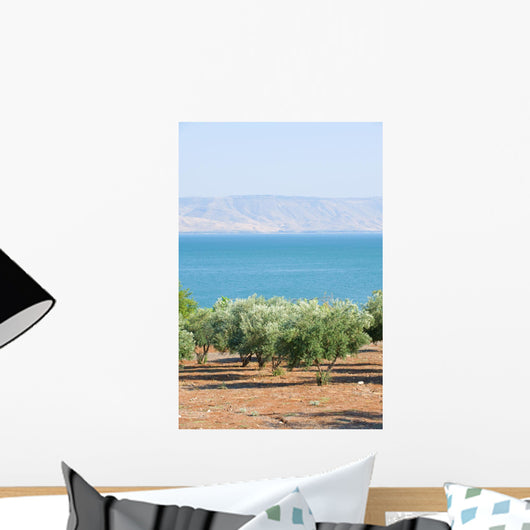 Sea Galillee Capernaum Wall Decal