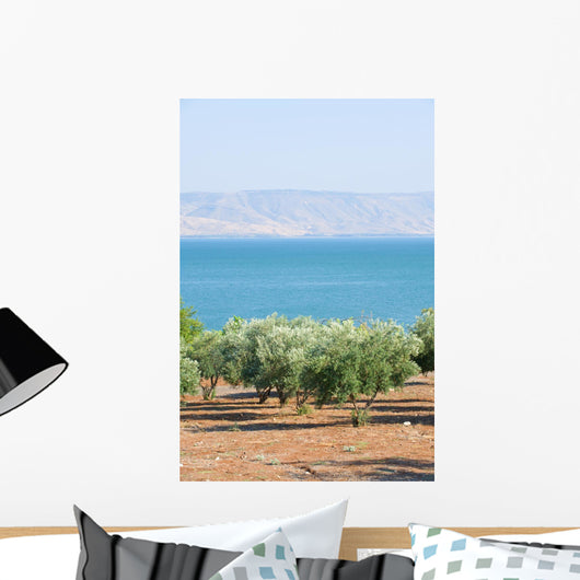 Sea Galillee Capernaum Wall Decal