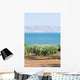 Sea Galillee Capernaum Wall Decal