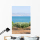 Sea Galillee Capernaum Wall Decal