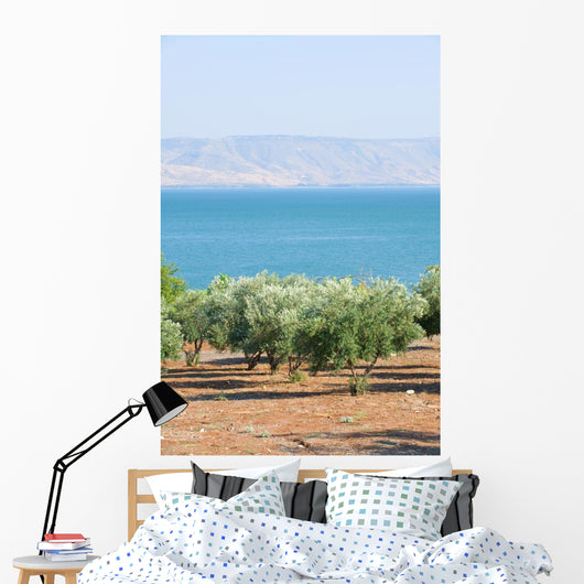 Sea Galillee Capernaum Wall Decal