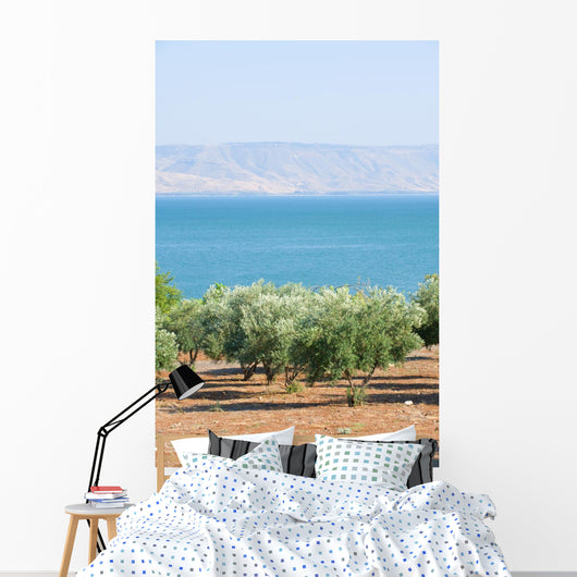 Sea Galillee Capernaum Wall Decal